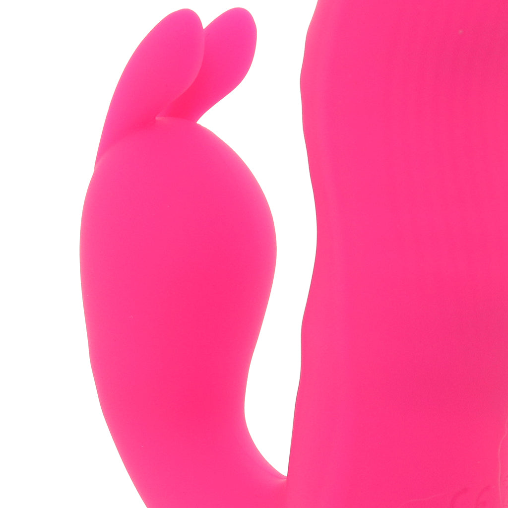 Enchanted Wave Action Bunny Vibe